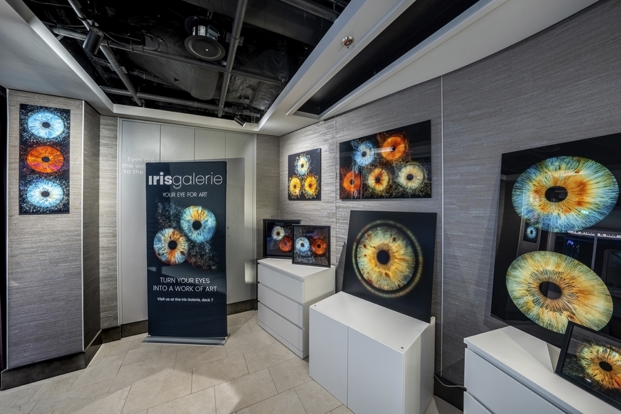 MSC Grandiosa - Iris Galerie 2.jpg